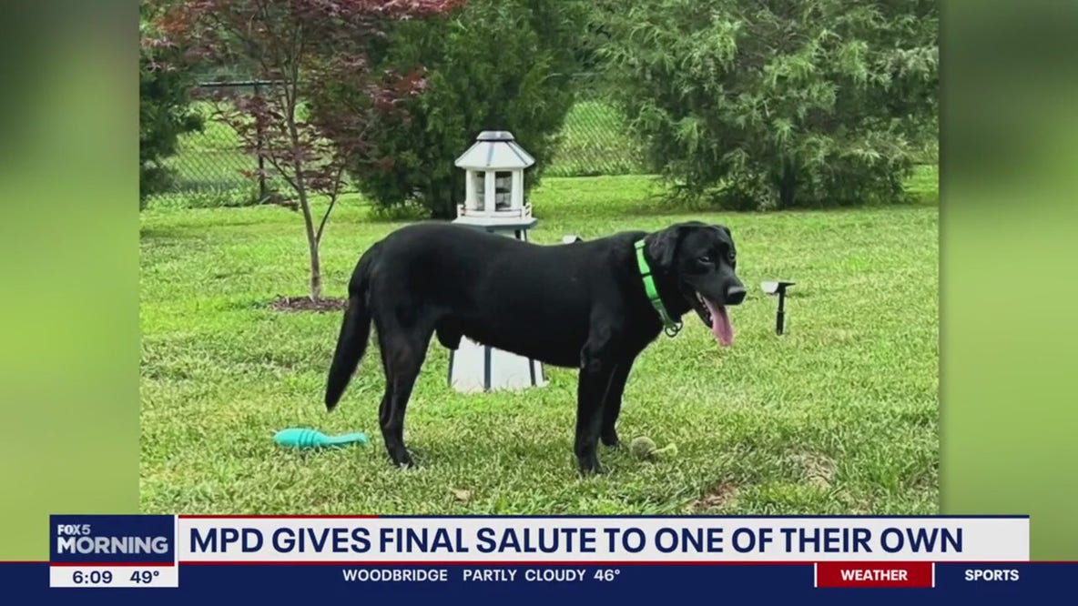 DC police dog dies after medical emergency while on presidential detail